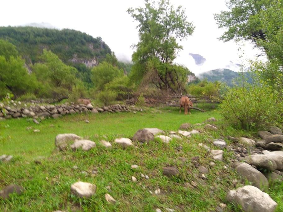 엘프요데제카 Atico En Pleno Pirineo 아파트 외부 사진
